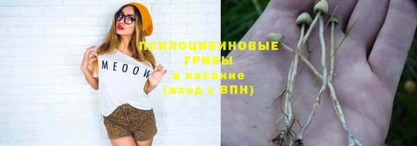 a pvp Алексеевка