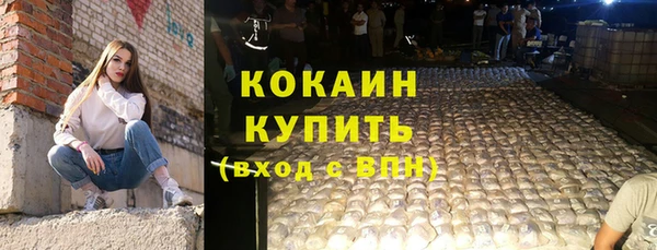 тгк Алексин
